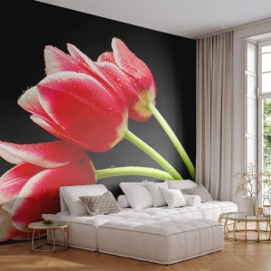 Fototapet Premium Sand - Løftet om ren kærlighed - Blomster, Tulipaner, Natur - 100x70 cm