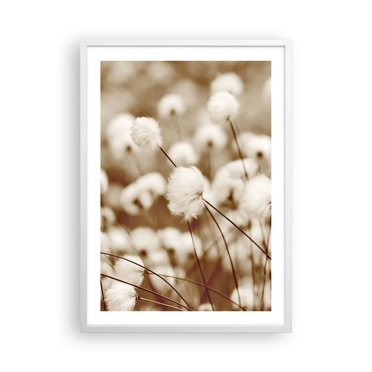 Plakat i hvid ramme - Fyldig mark - 50x70 cm