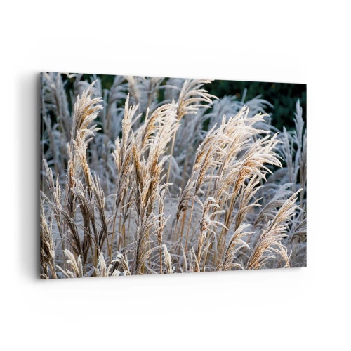 Lærredstryk - Billede på lærred - Pyntet med frost - 100x70 cm