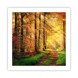 Plakat - Skovgylden stilhed - 50x50 cm