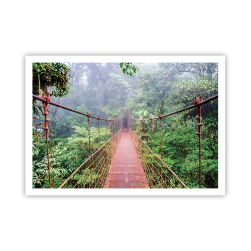 Plakat - Ophængt over kronerne - 100x70 cm