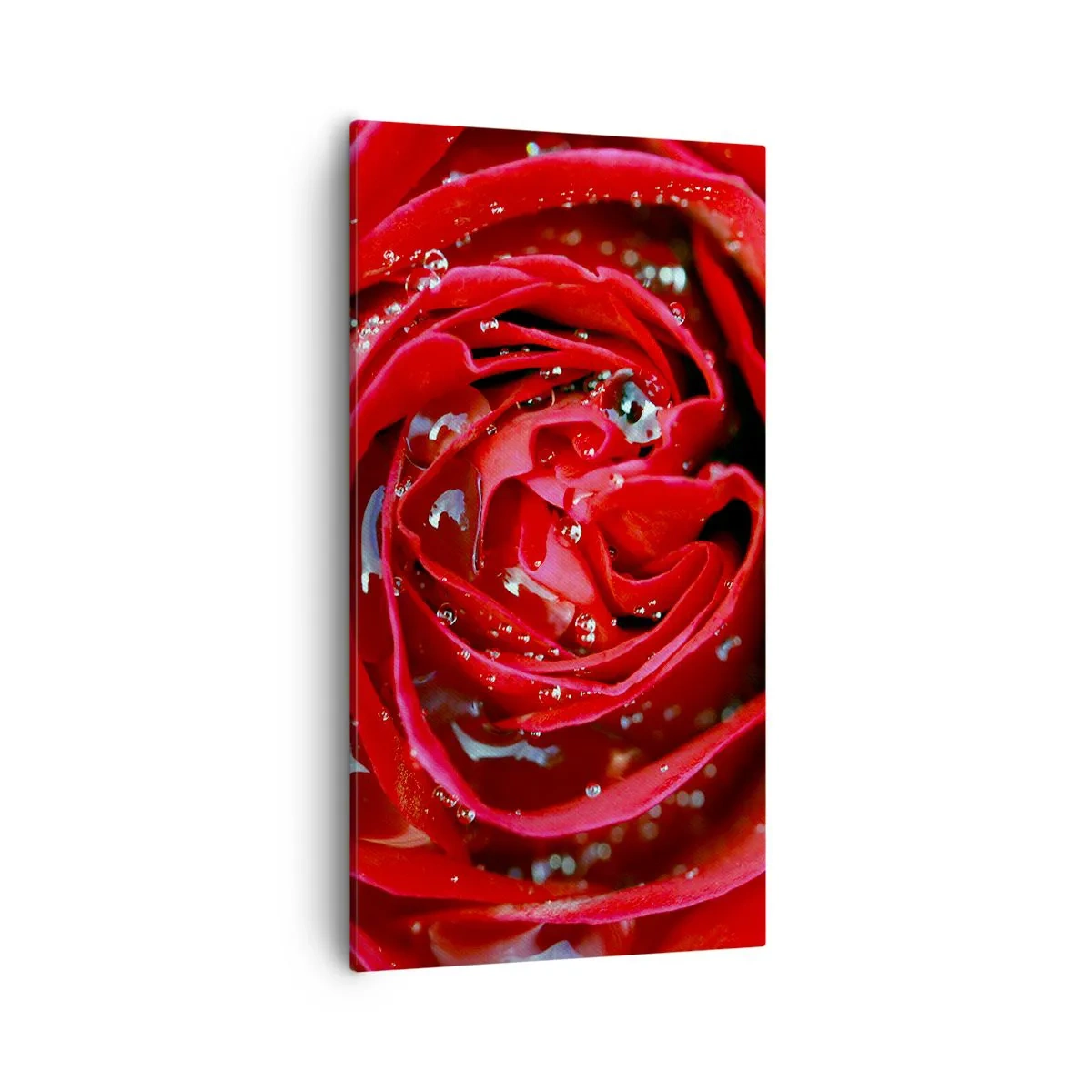 Lærredstryk - Billede på lærred - I dråber af dug - 55x100 cm