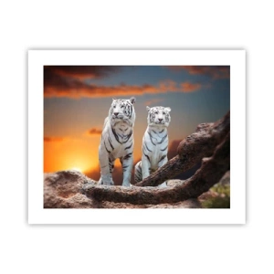 Plakat - Ligesom i Narnia - 50x40 cm