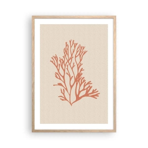 Plakat i ramme af lyst egetræ - Koral filigran - 50x70 cm