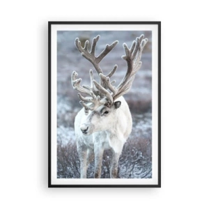 Plakat i sort ramme - Portræt i solen - 61x91 cm