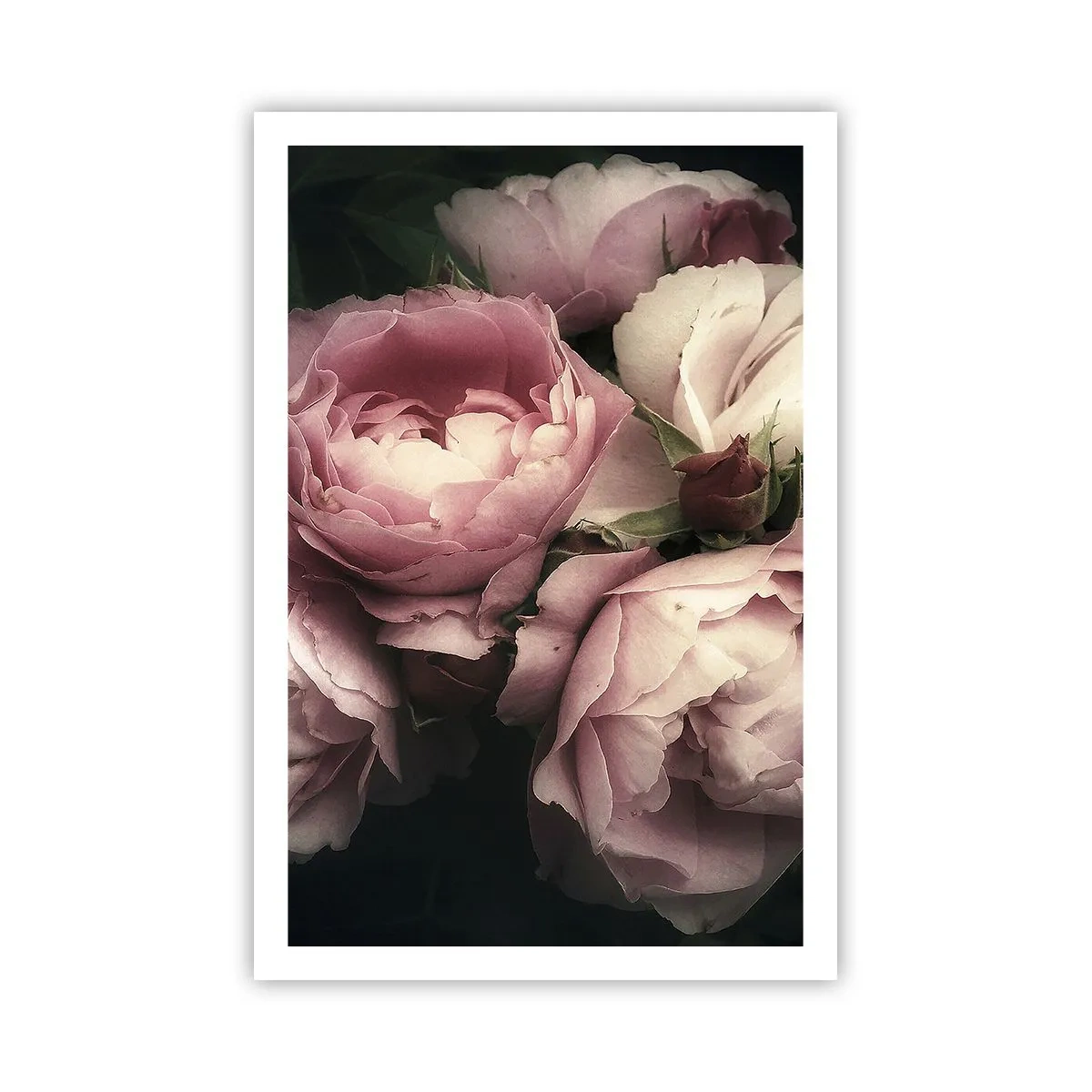 Plakat - Belle epoque charme - 61x91 cm