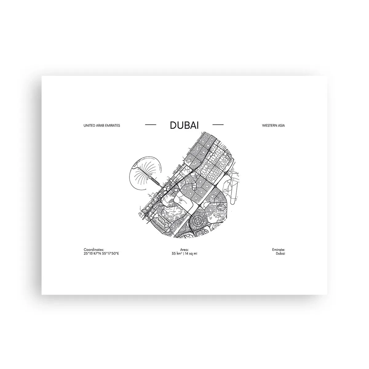 Plakat - Dubais anatomi - 40x30 cm