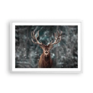 Plakat i hvid ramme - Skovens konge kronet - 70x50 cm