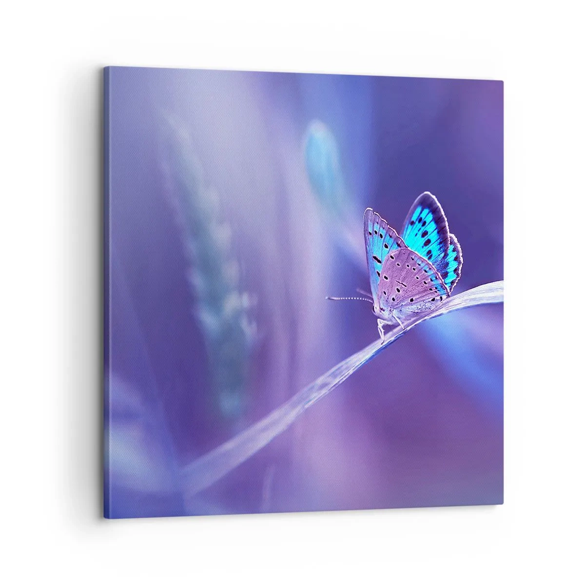 Lærredstryk - Billede på lærred - Naturens juvel - 60x60 cm