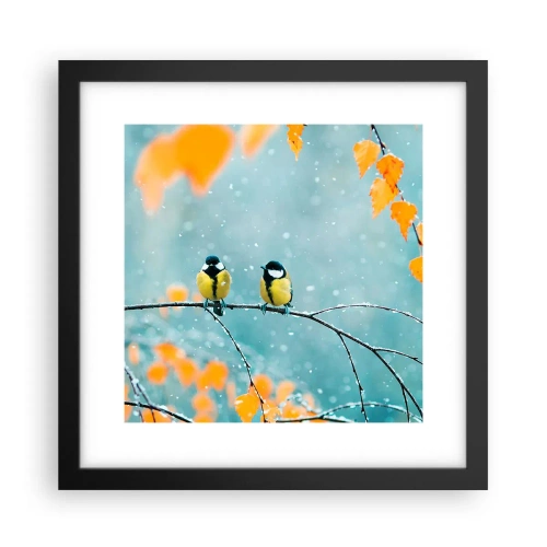 Plakat i sort ramme - Sladder om fugle - 30x30 cm