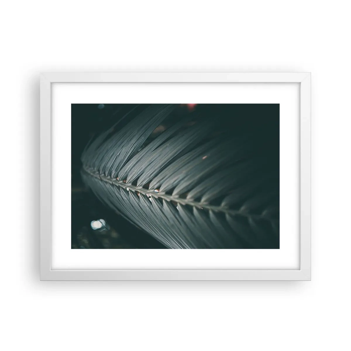 Plakat i hvid ramme - Naturens præcision - 40x30 cm