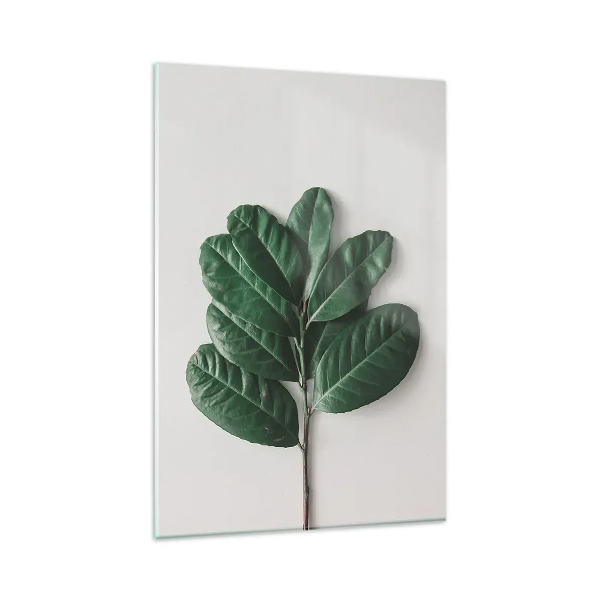 Billede på glas - Tegning af selve naturen - 80x120 cm