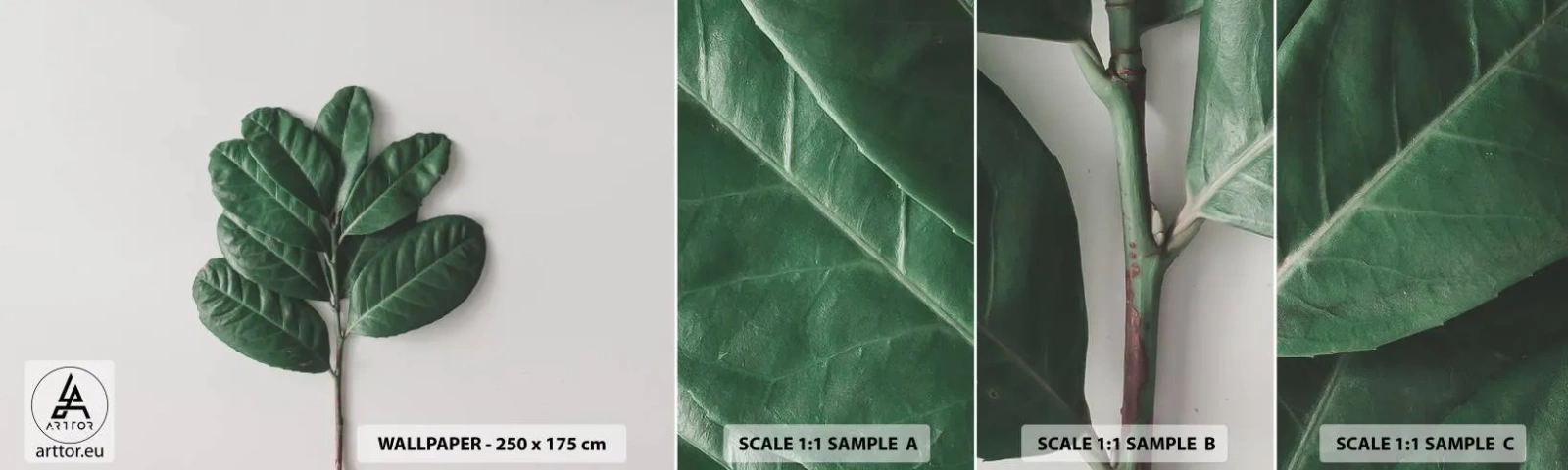 Fototapet Prøve Standard Eco - Tegning af selve naturen - Blade, Plante, Natur - 100x30 cm