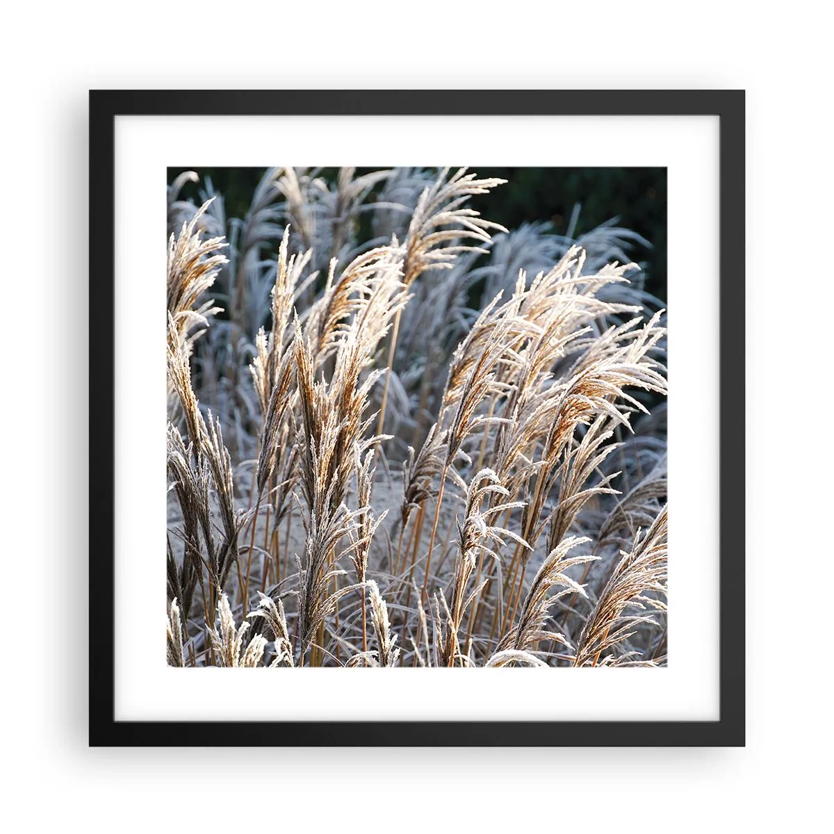 Plakat i sort ramme - Pyntet med frost - 40x40 cm