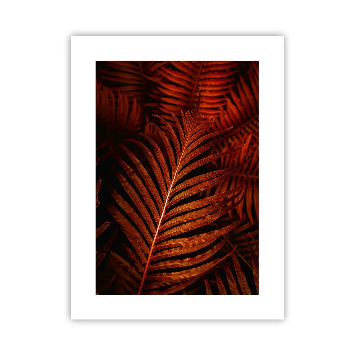 Plakat - Livets varme - 30x40 cm