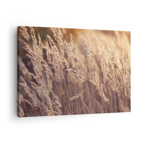 Lærredstryk - Billede på lærred - Gyldne græsser mod baggrunden af den nedgående sol - 70x50cm - Klar til at byde efteråret velkommen - Moderne vægdekoration til stue og soveværelse ARTTOR