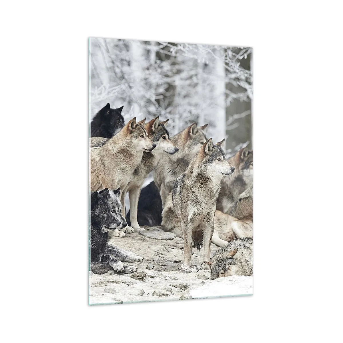 Billede på glas - Familie og venner - 70x100 cm