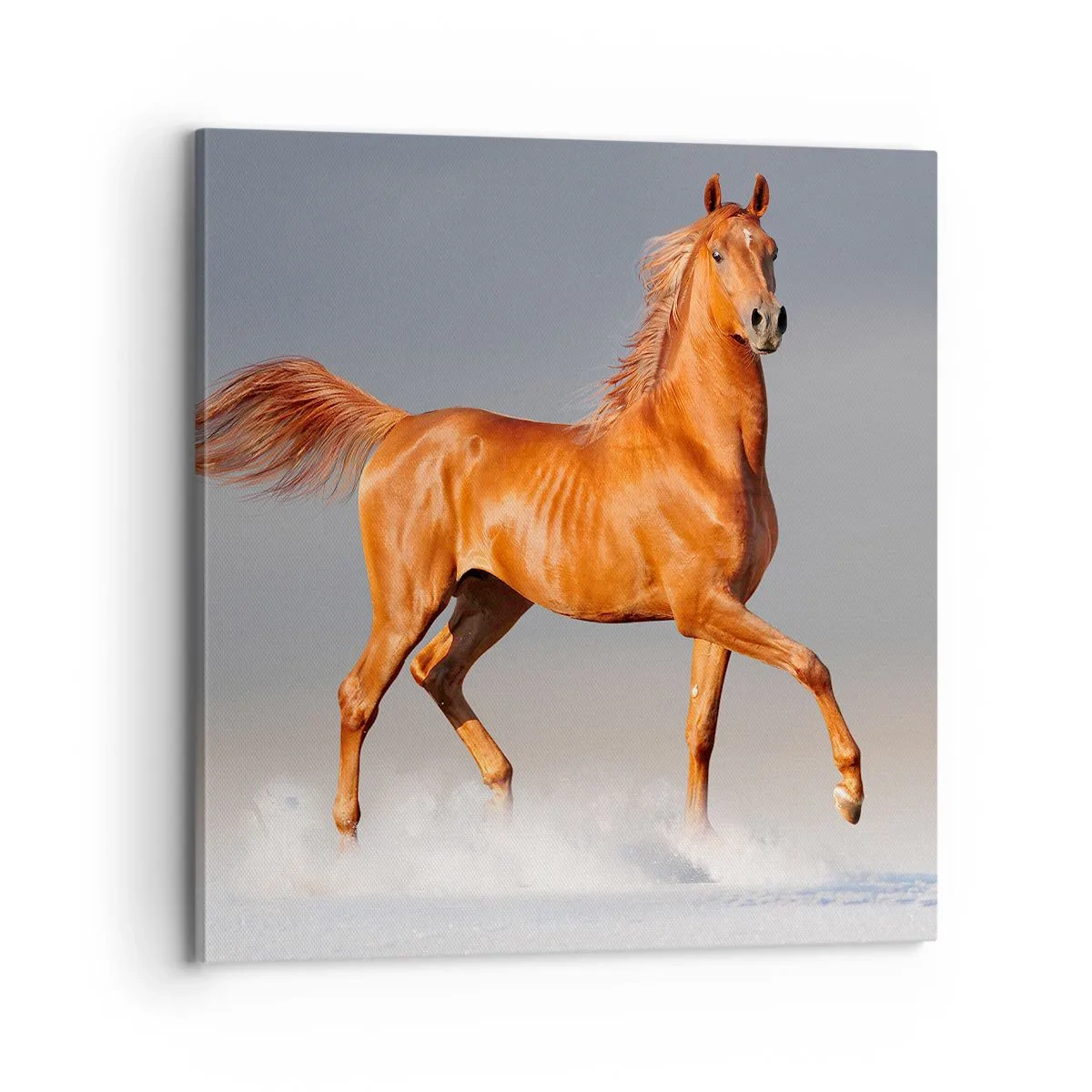 Lærredstryk - Billede på lærred - Dansende ynde - 70x70 cm