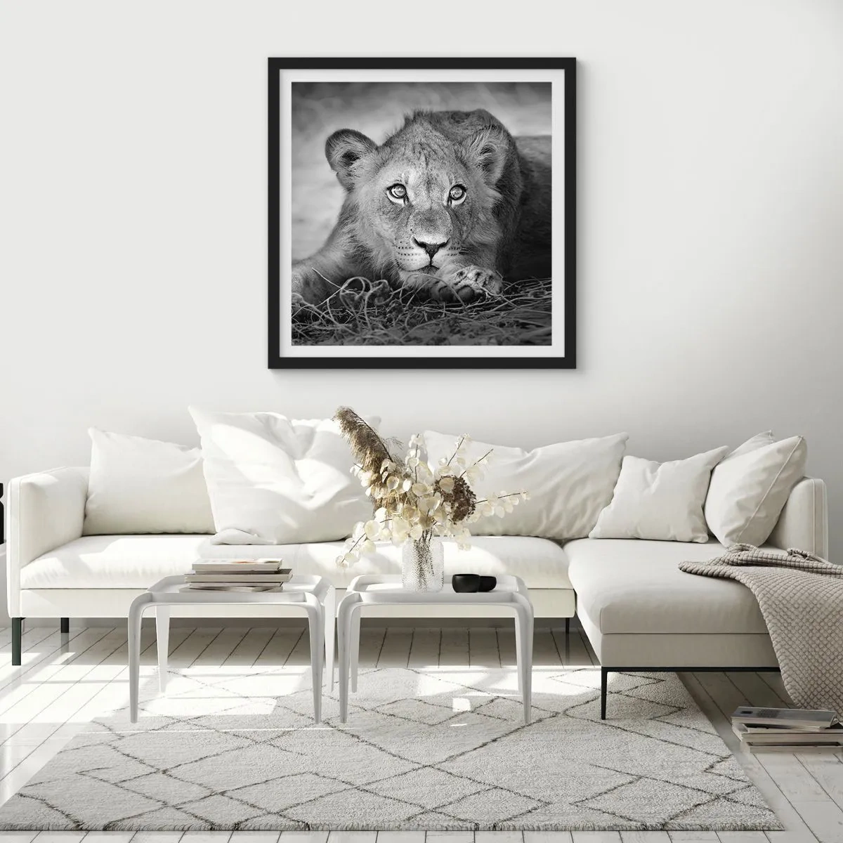 Plakat i sort ramme - Kongelig hvalp - 50x50 cm