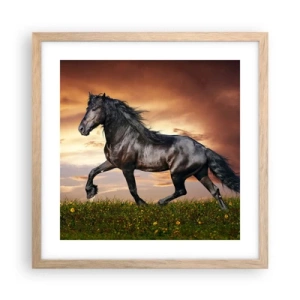 Plakat i ramme af lyst egetræ - Sort prins - 40x40 cm
