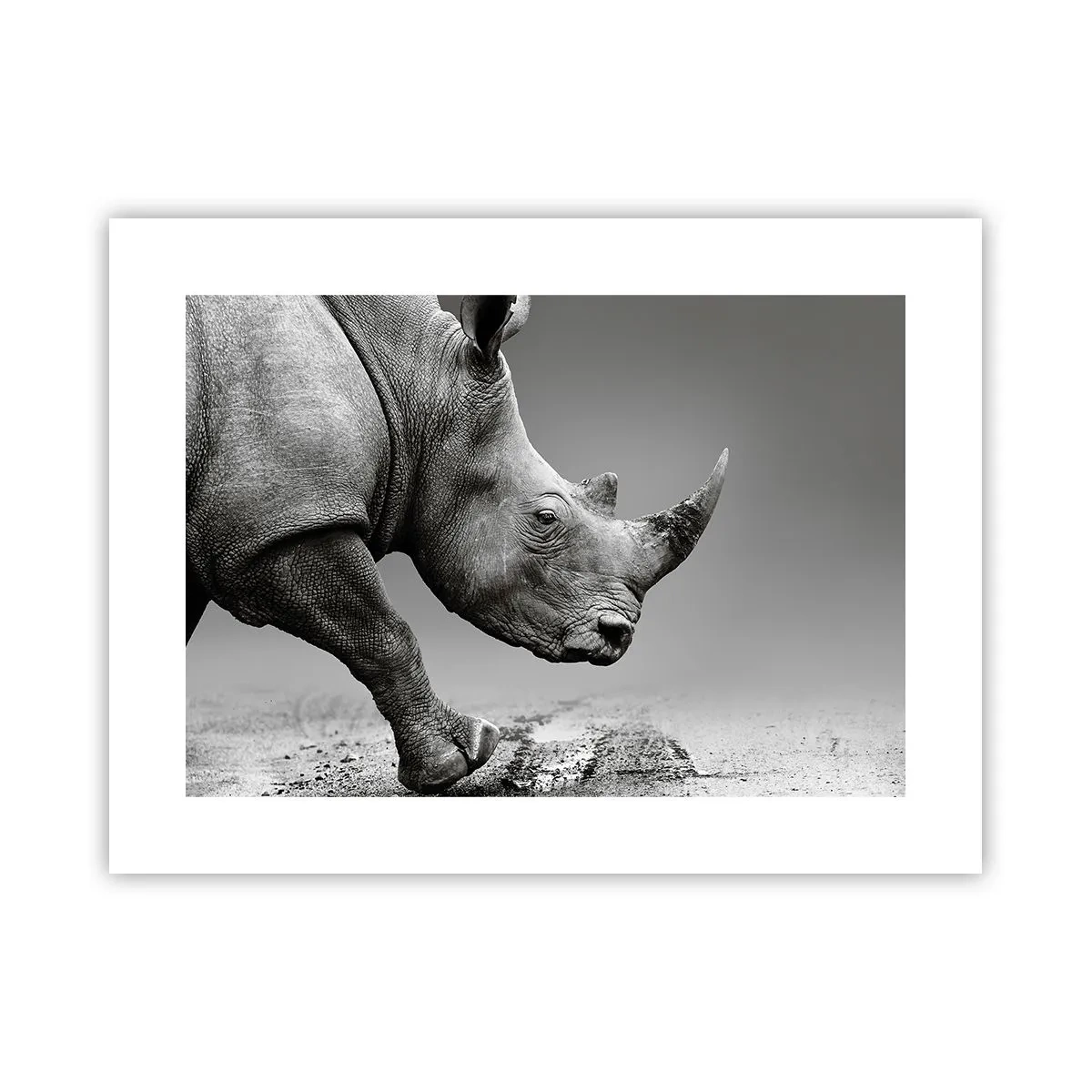 Plakat - En ustoppeli - 40x30 cm