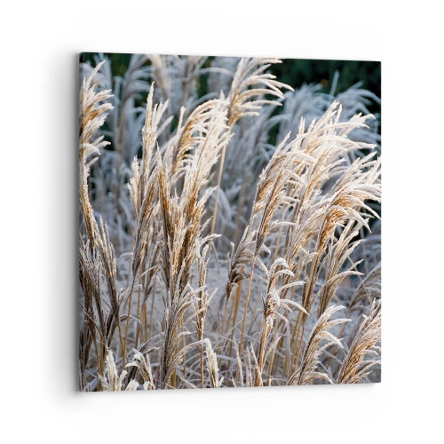 Lærredstryk - Billede på lærred - Pyntet med frost - 70x70 cm
