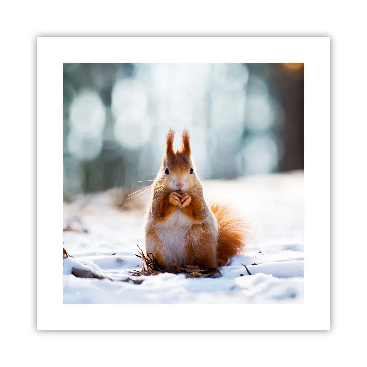 Plakat - Og hvad kigger du på? - 40x40 cm