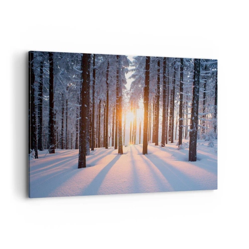 Lærredstryk - Billede på lærred - Klart i sort og hvidt - 100x70 cm