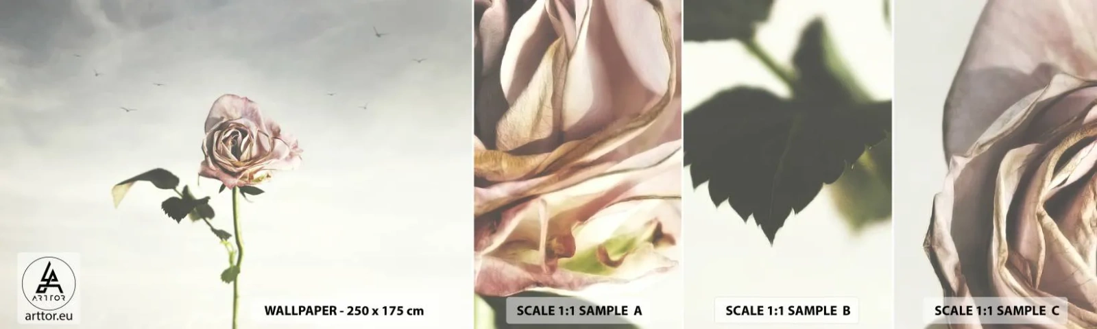 Fototapet Prøve Standard Eco - Velkomst til foråret - Rose, Blomst, Stykke - 100x30 cm