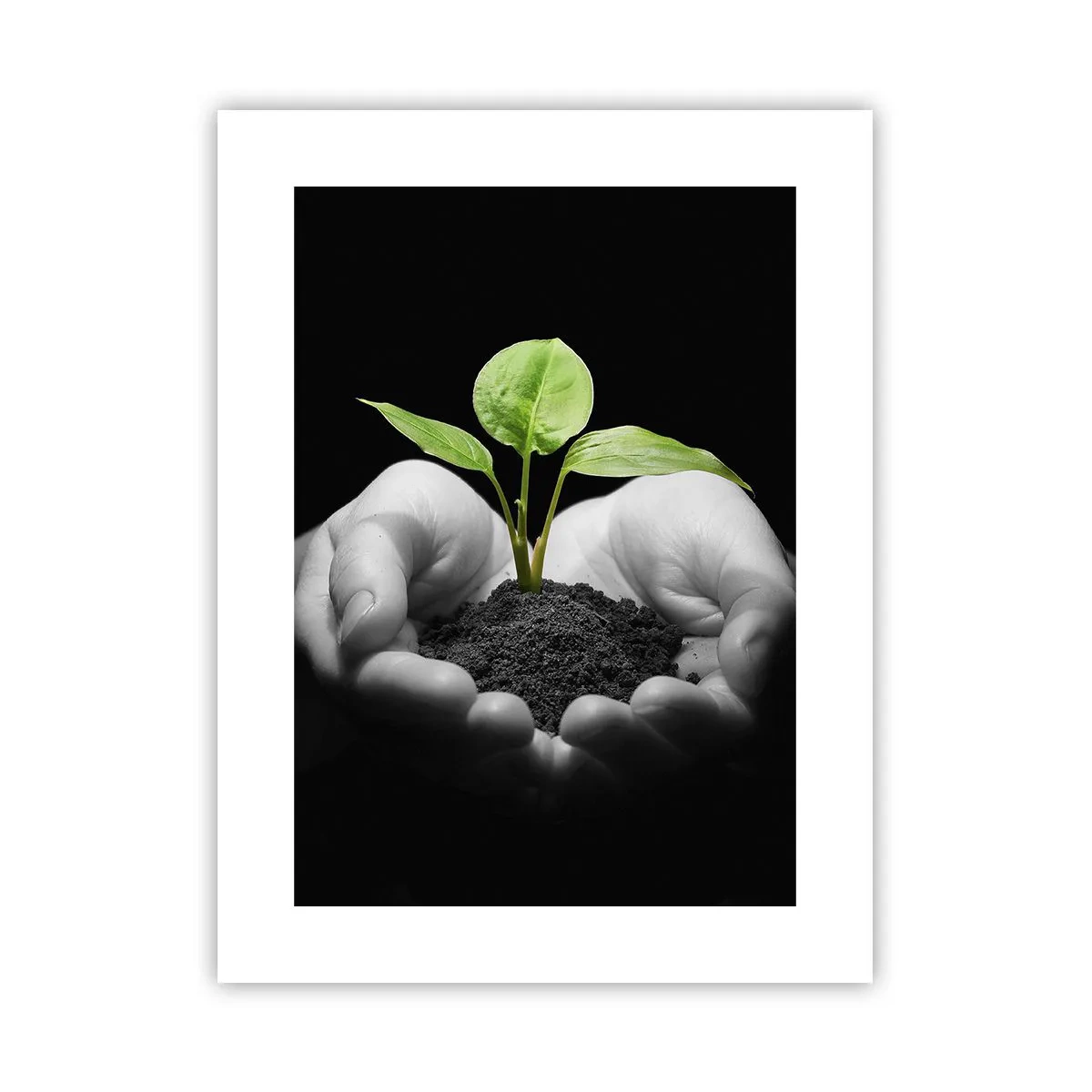 Plakat - Jeg elsker naturen, jeg beskytter den - 30x40 cm