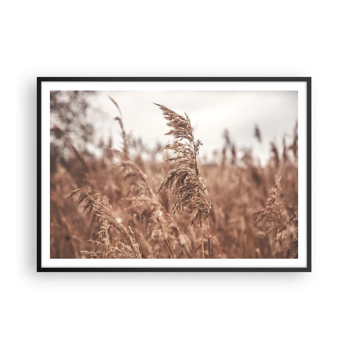 Plakat i sort ramme - Efteråret er allerede på markerne - 100x70 cm