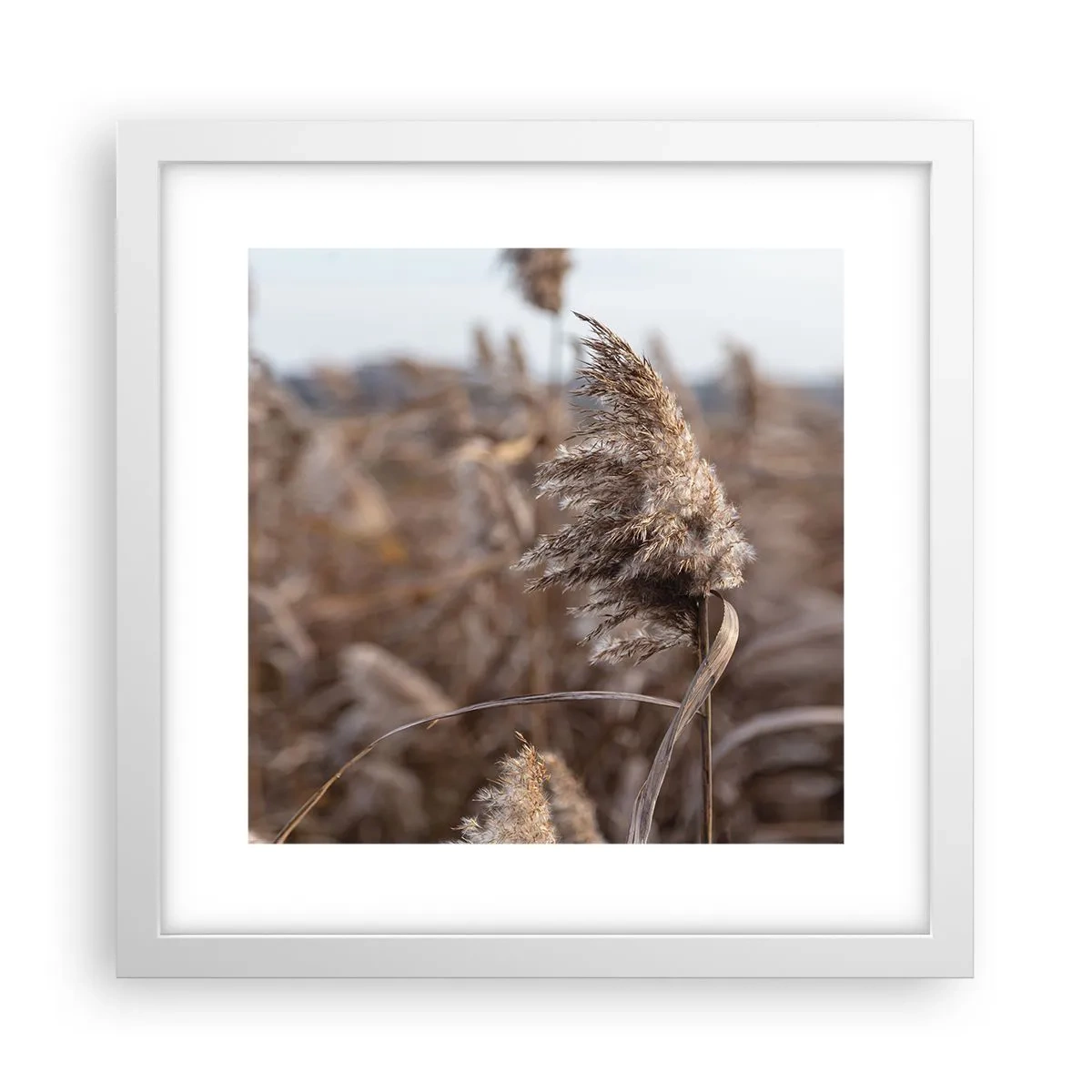 Plakat i hvid ramme - Tid til at flyve væk med vinden - 30x30 cm