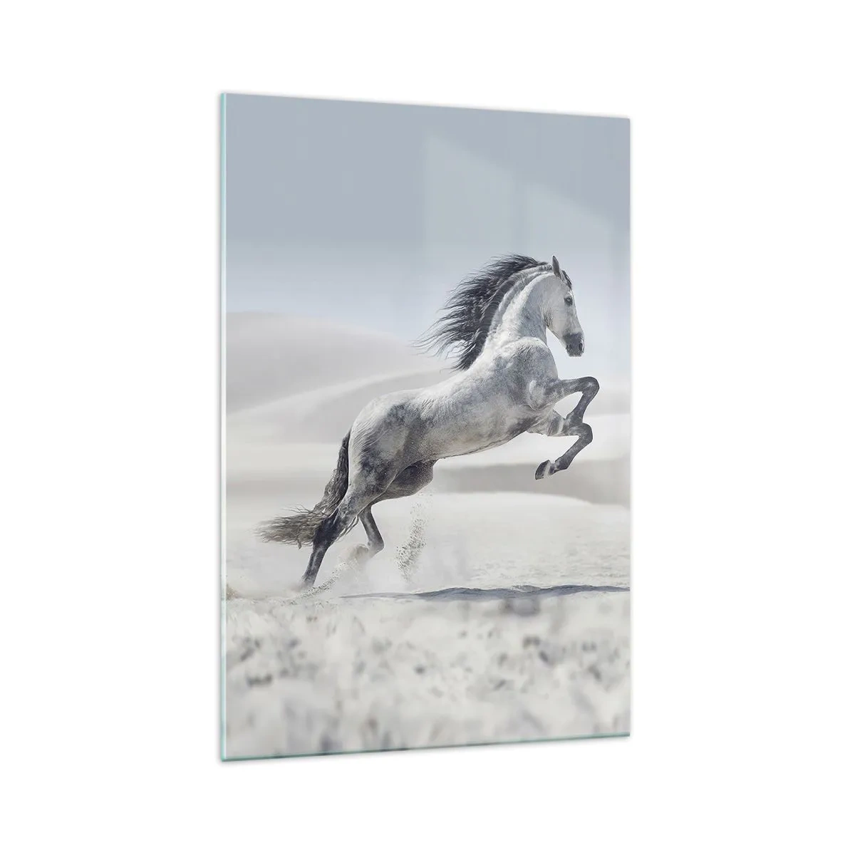 Billede på glas - Arabisk prins - 70x100 cm