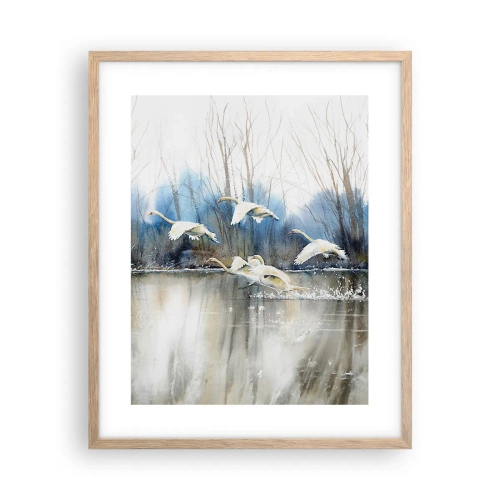 Plakat i ramme af lyst egetræ - Som i en fortælling om vilde svaner - 40x50 cm