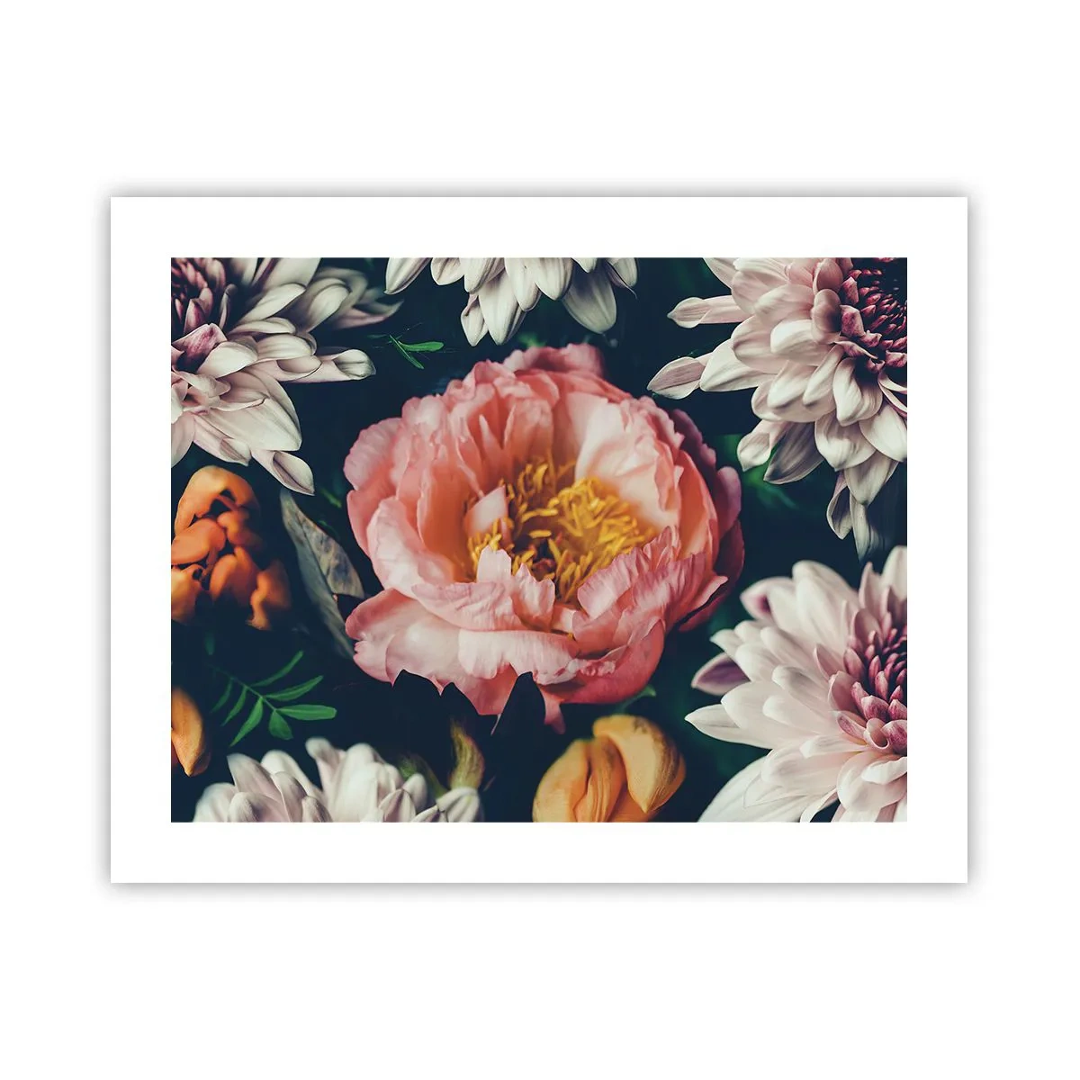 Plakat - Med barok pragt - 50x40 cm