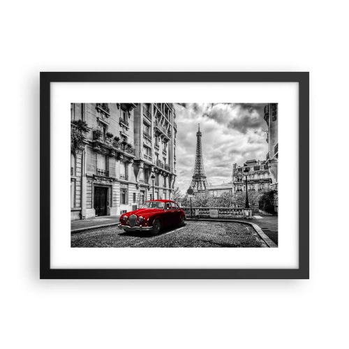 Plakat i sort ramme - Rovdyr i byen - 40x30 cm