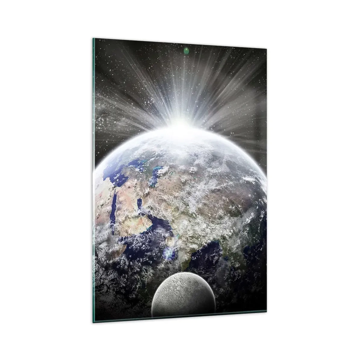 Billede på glas - I fuldt blus - 80x120 cm