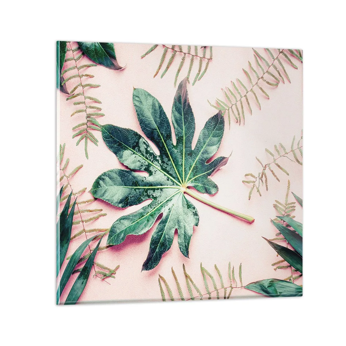 Billede på glas - En undersøgelse af grønt på en lyserød baggrund - 70x70 cm
