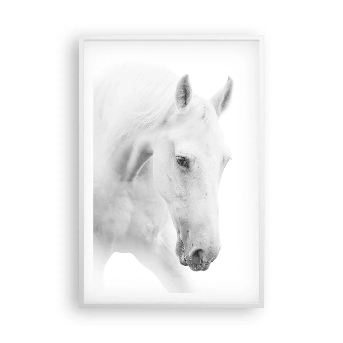 Plakat i hvid ramme - Er dette venskab...? - 61x91 cm