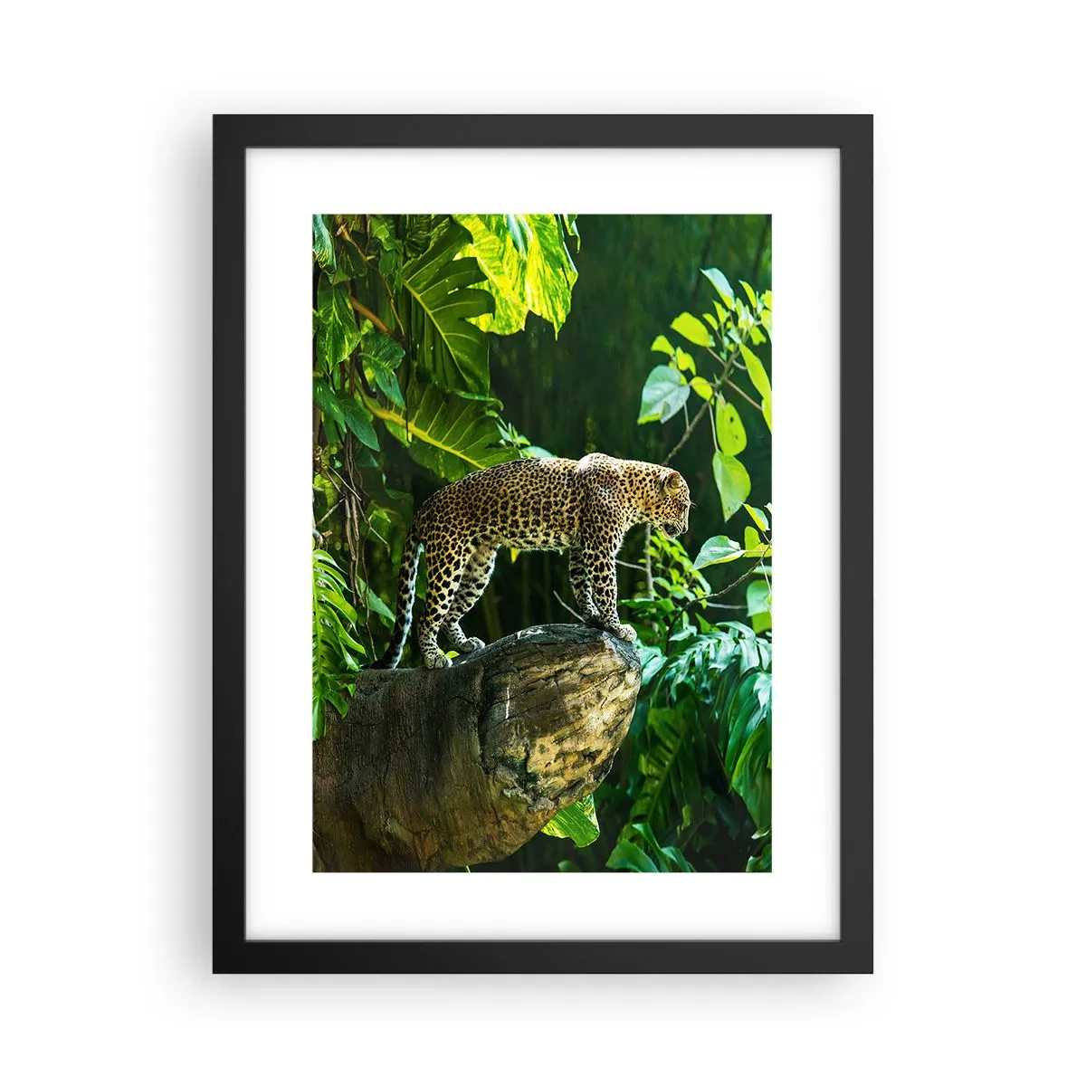 Plakat i sort ramme - Til jagt? - 30x40 cm