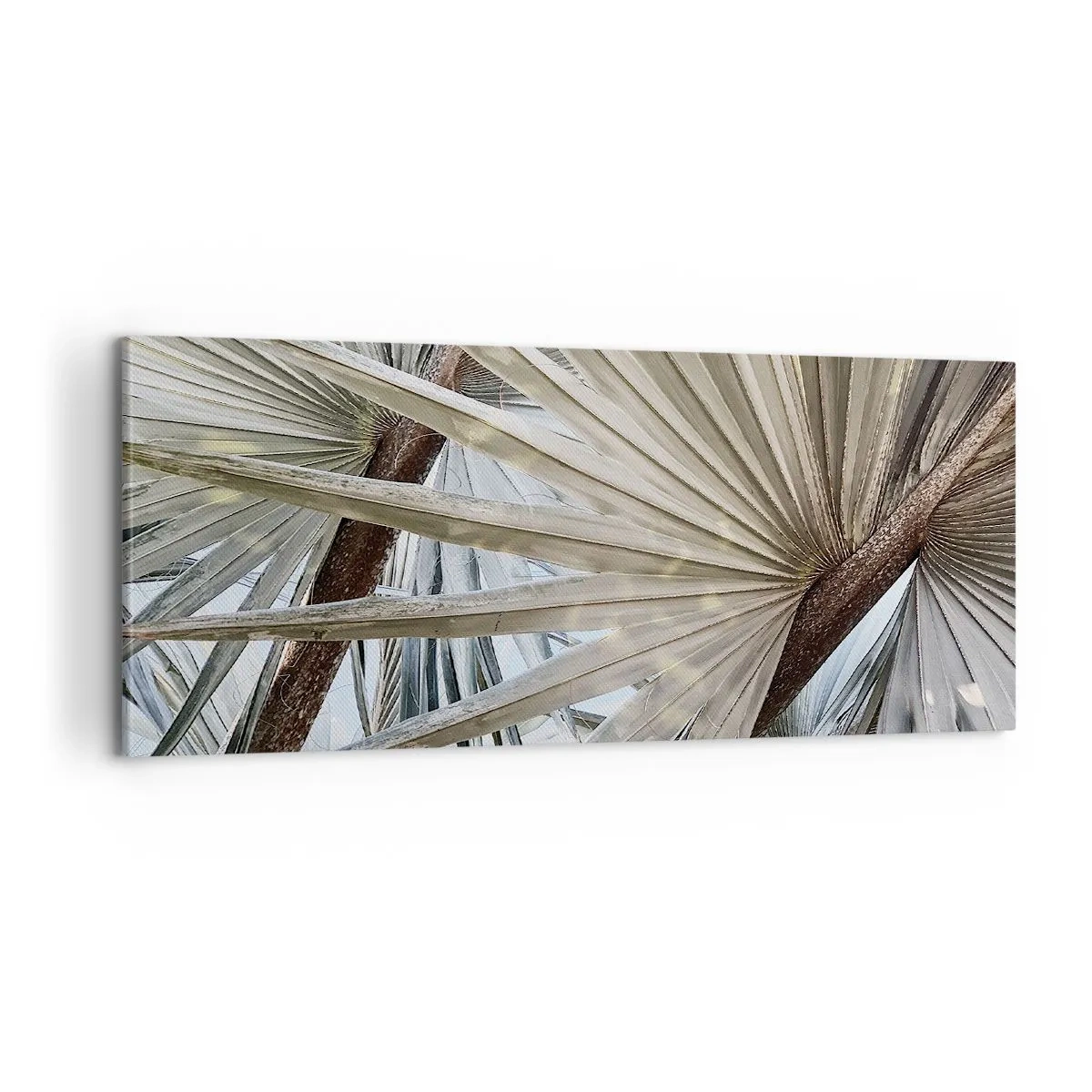 Lærredstryk - Billede på lærred - Ventilatorer i troperne - 100x40 cm