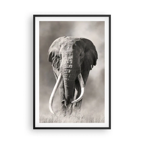 Plakat i sort ramme - Afrikansk patriark - 61x91 cm