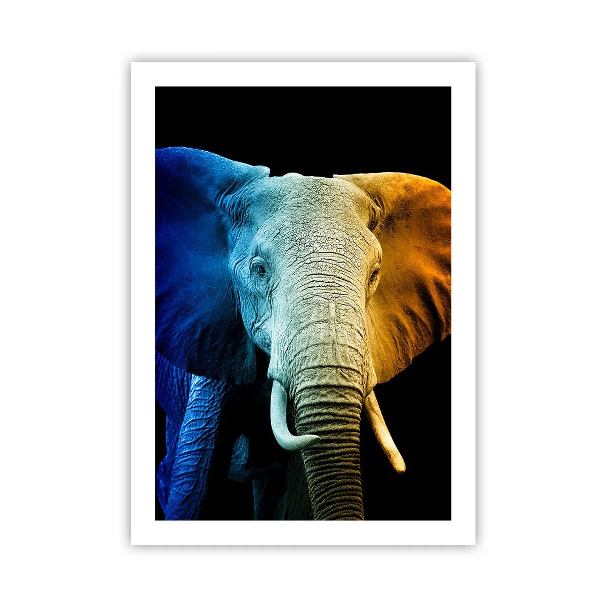Plakat - Excentrisk, ikke underlig - 50x70 cm