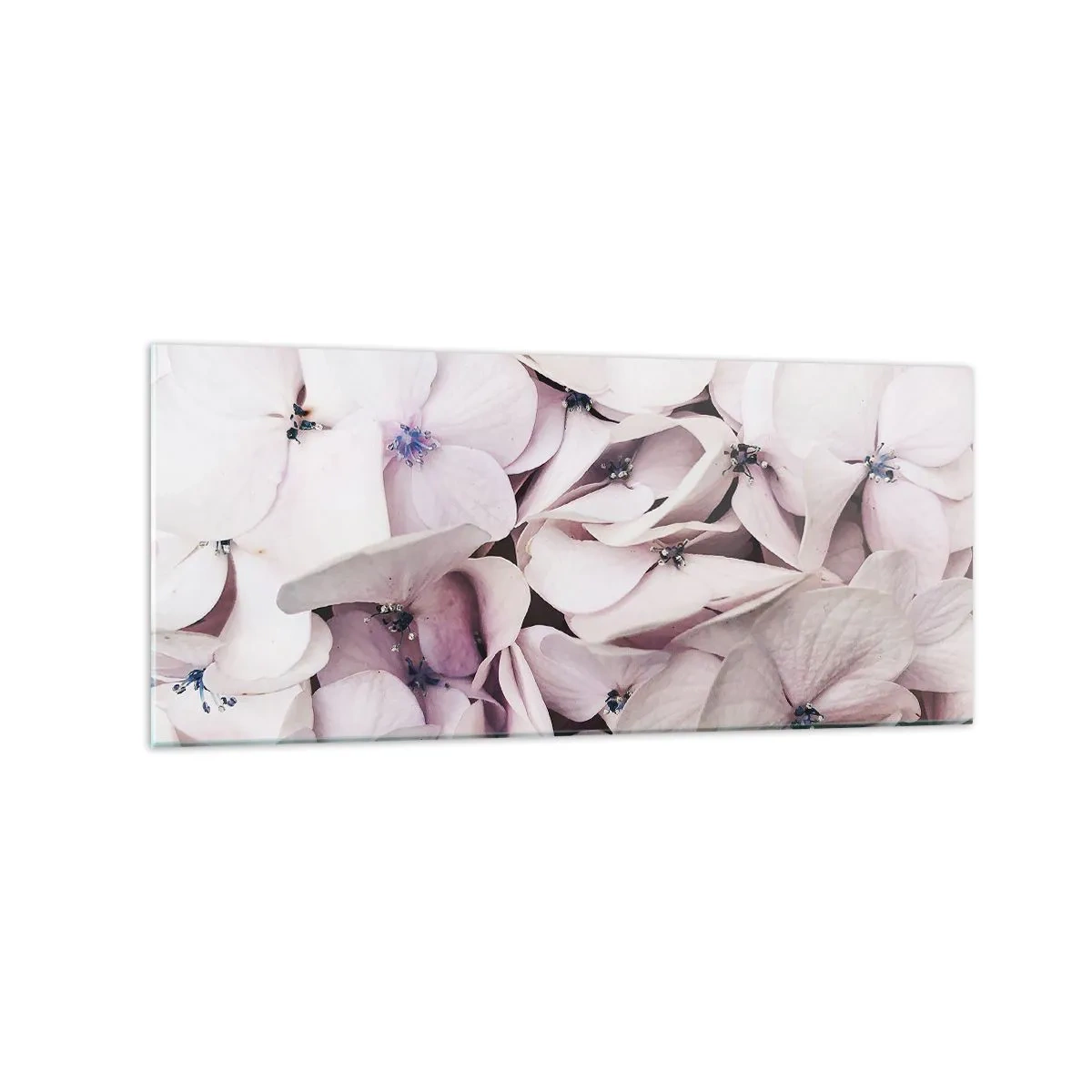 Billede på glas - I en flod af blomster - 120x50 cm