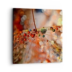 Lærredstryk - Billede på lærred - Trådet på et edderkoppespind - 40x40 cm