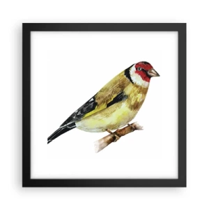 Plakat i sort ramme - Portræt af en fugl - 30x30 cm