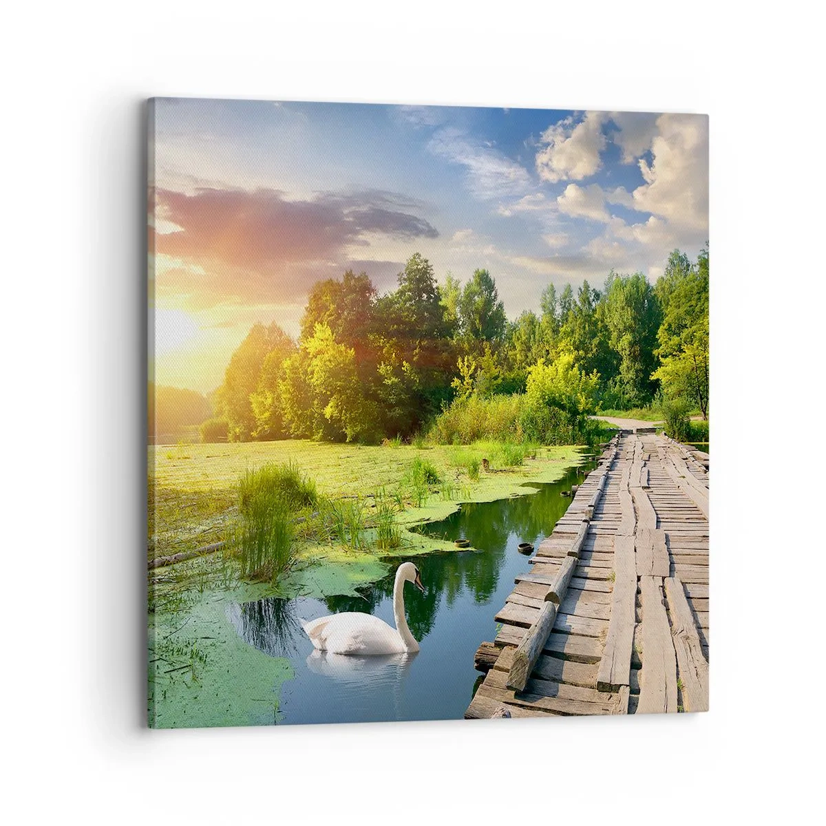 Lærredstryk - Billede på lærred - Sommer, sommer overalt - 70x70 cm
