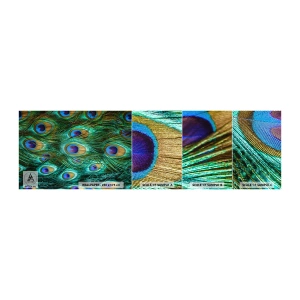 Fototapet Prøve Standard Eco - En påfugls blik - Abstraktion, Påfuglefjer, Fuglens fjer - 100x30 cm
