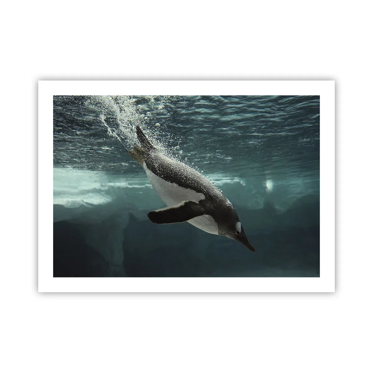 Plakat - Velkommen til min verden - 70x50 cm