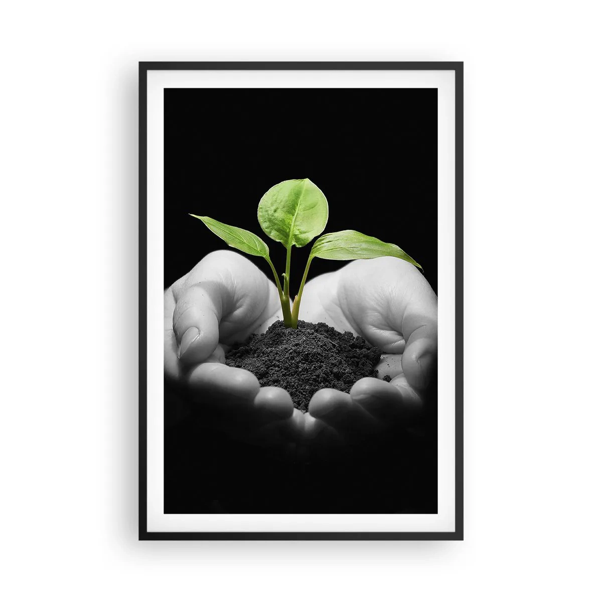 Plakat i sort ramme - Jeg elsker naturen, jeg beskytter den - 61x91 cm